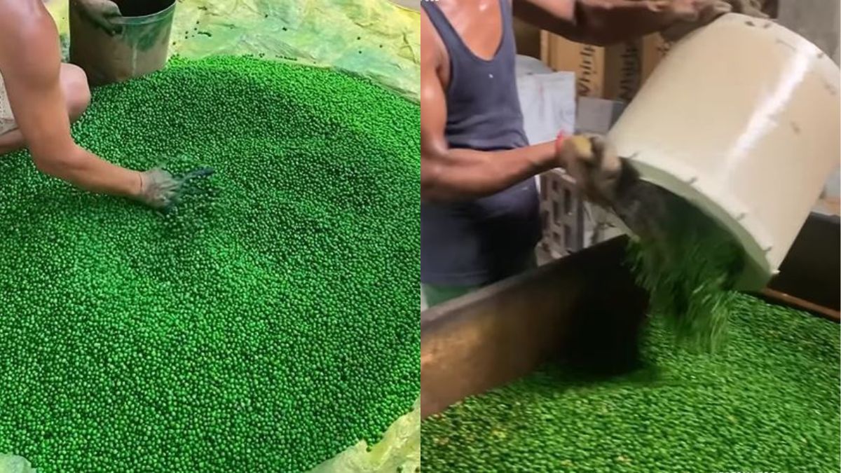 Viral Video Shows How Salted Peas Are Made And We Were Better Off Not Knowing