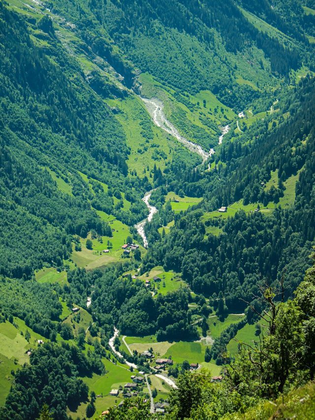 6  Valleys In Maharashtra For All The Monsoon Green Feels