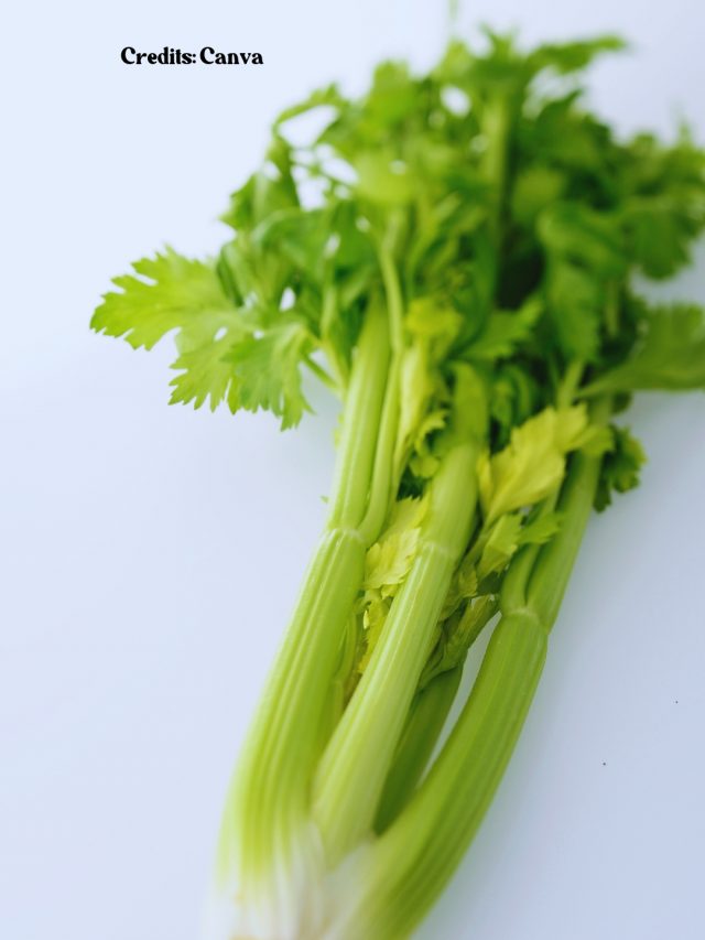 From Banana To Lotus, 10 Edible Plant Stems To Add To Your Diet