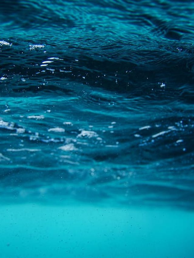 7 Astonishing Secrets As Seen On The Ocean Floor
