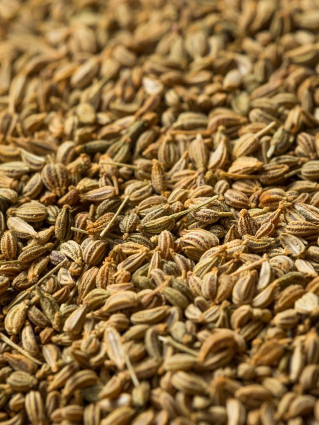 7 Ways To Use Ajwain (Carom Seeds) For WeightLoss
