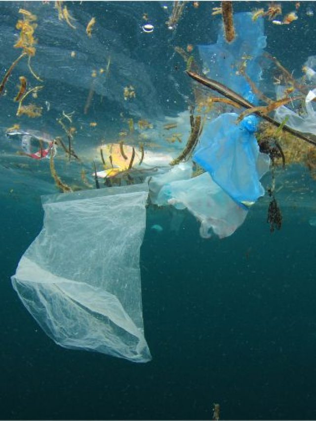 biggest ocean polluters