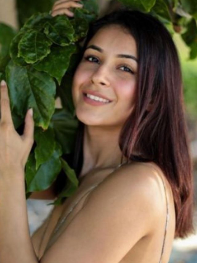 shenaz (10)