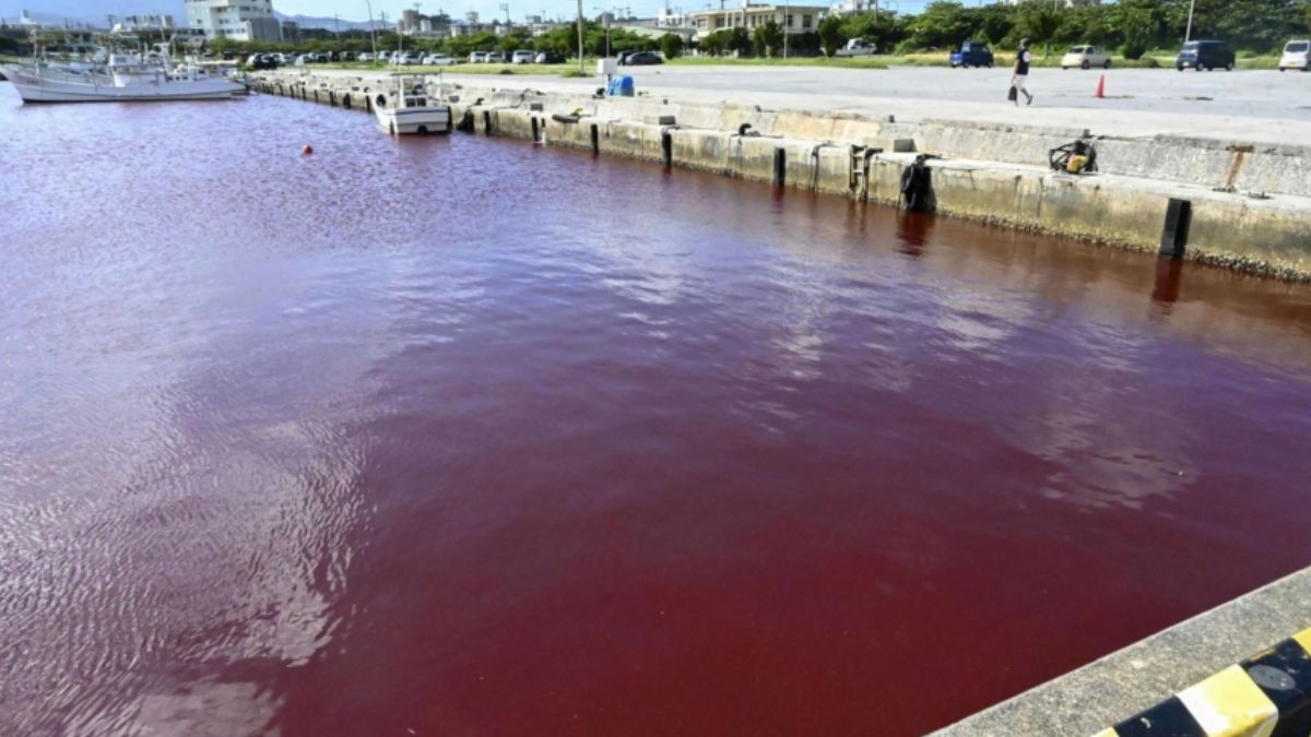 A River In Japan’s Nago City Turned Red And Locals Panicked! Here’s Why