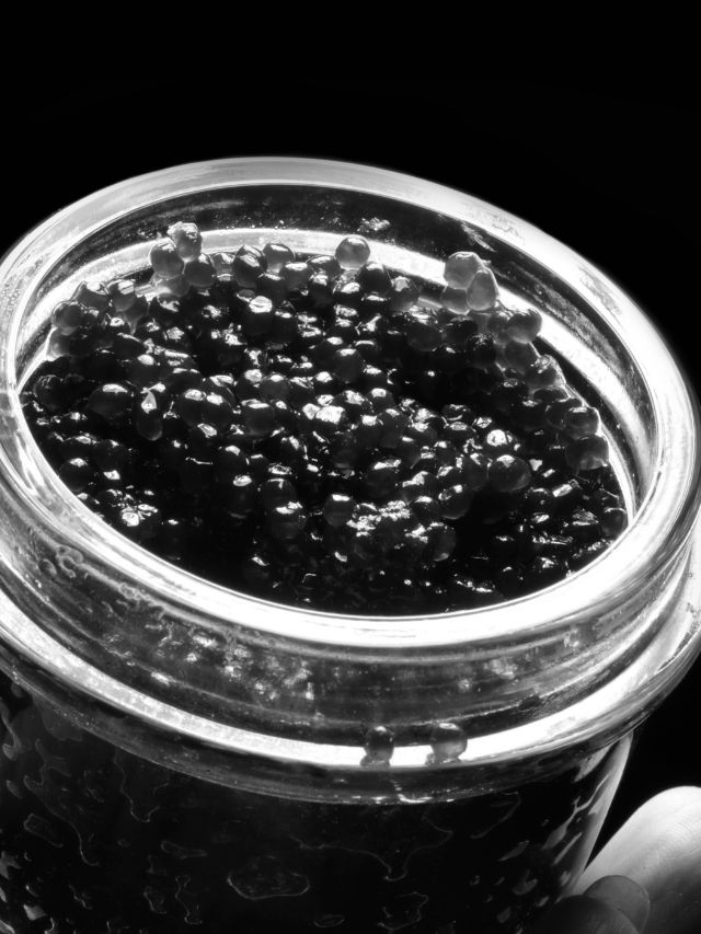5 Types Of Caviar & How To Serve Them!