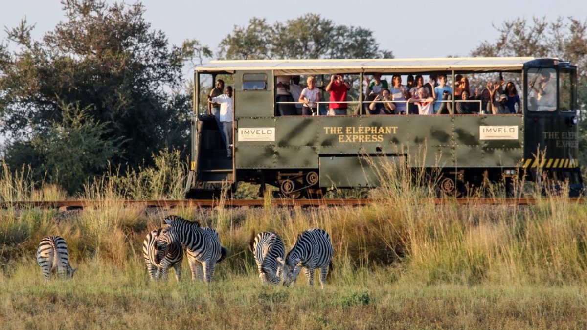 Elephant Express, An 70-Km Train Safari Takes You On A Unique Ride Through Zimbabwe’s Jungles