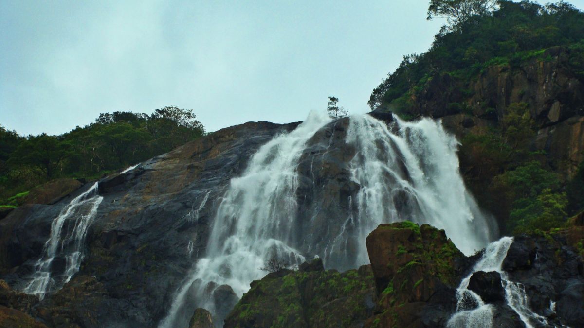 Goa Lifts Ban On Visit To 14 Low-Risk Waterfalls In Wildlife Sanctuaries; New Rules Out!