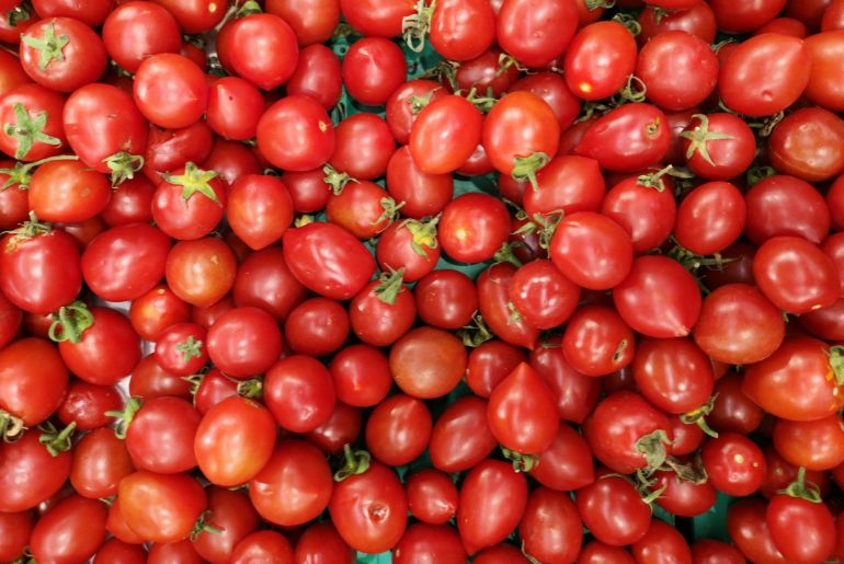 Tomato Prices 