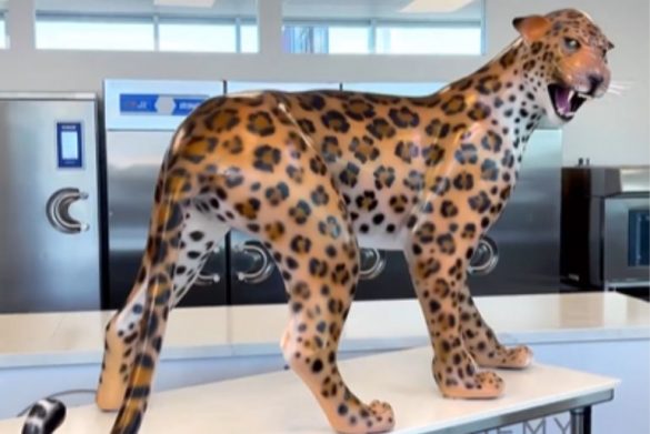 In 4 Days, Chef Makes A Life-Sized Chocolate Leopard With 100 Tonnes Of Chocolate. *gaping*