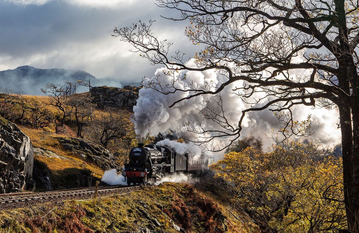 Hop On Hogwarts Express! This Harry Potter-Themed Train Takes You Through Scottish Highlands