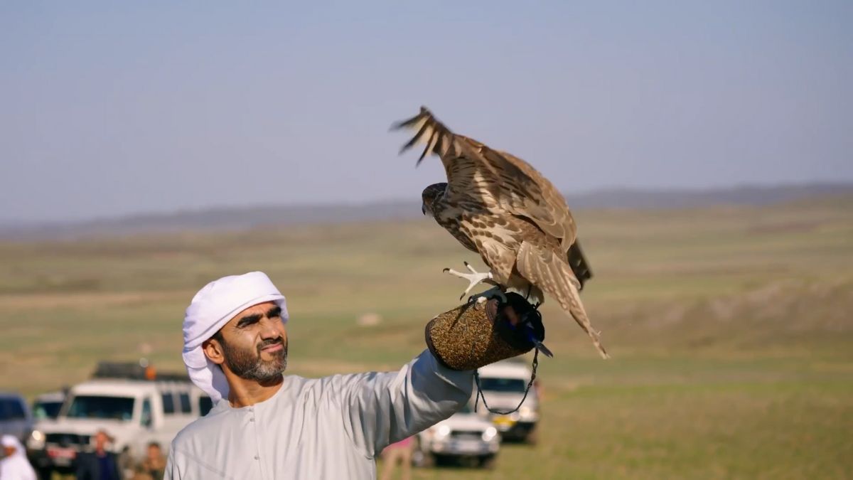 Sheikh Zayed Falcon Release Programme: UAE Releases 52 Falcons In Kazakhstan!