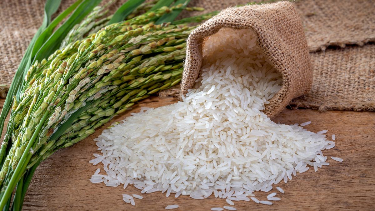 UAE Announces 4-Month Ban On Exports Of Indian Rice To Stabilise Price & Supply In Local Markets