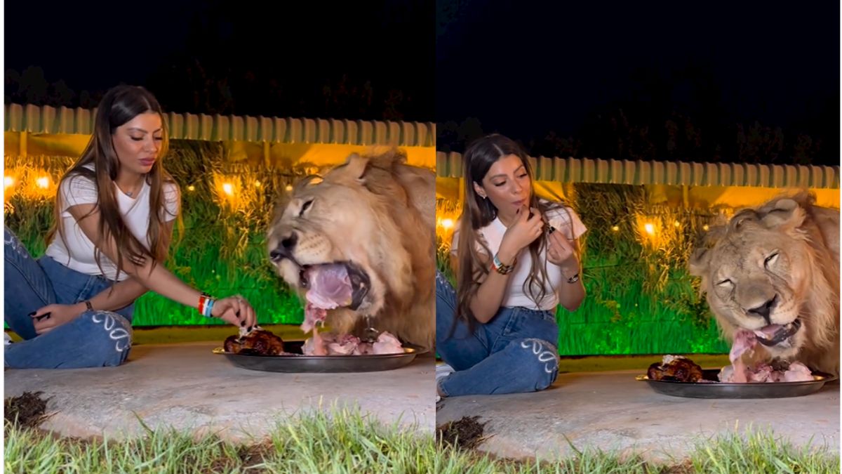 Viral Video Of A Woman & Lion Eating From The Same Plate Has The Internet Shivering!