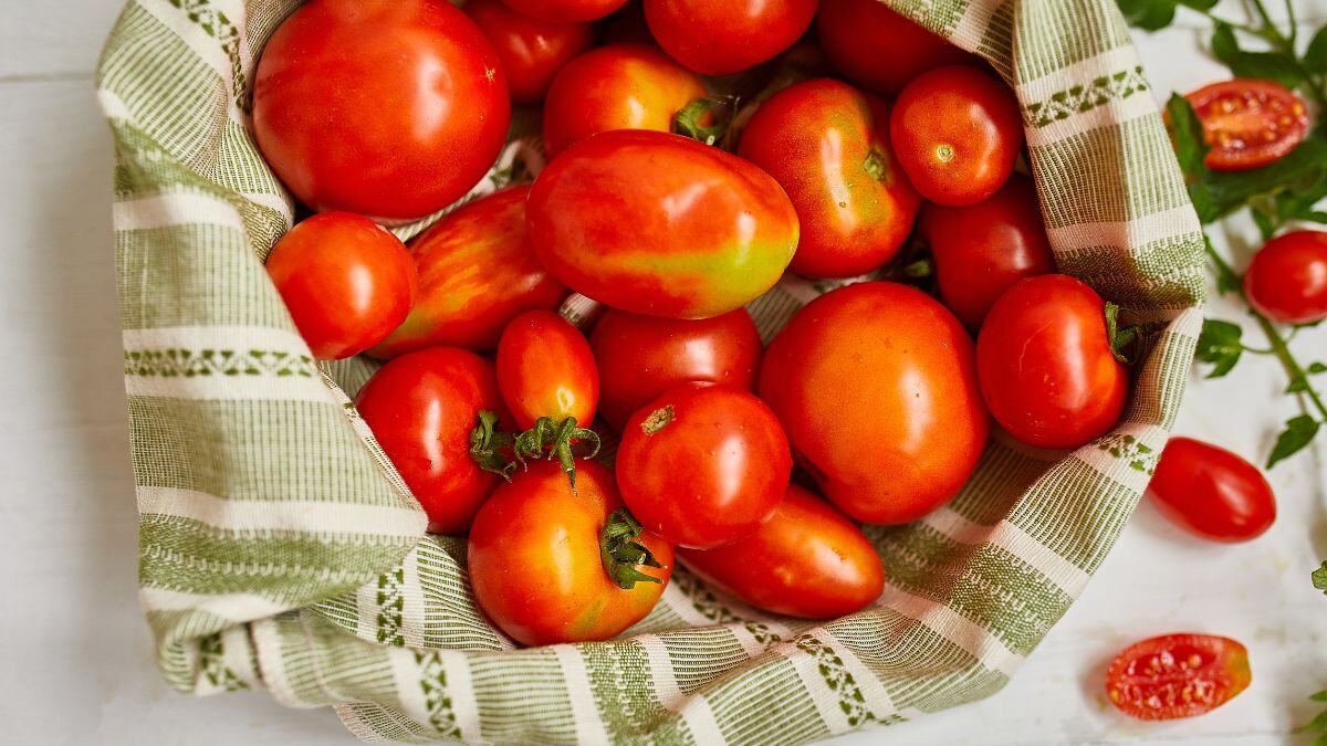 You Can Get 2 Kg Tomatoes Free At The MP Shop When You Buy A…