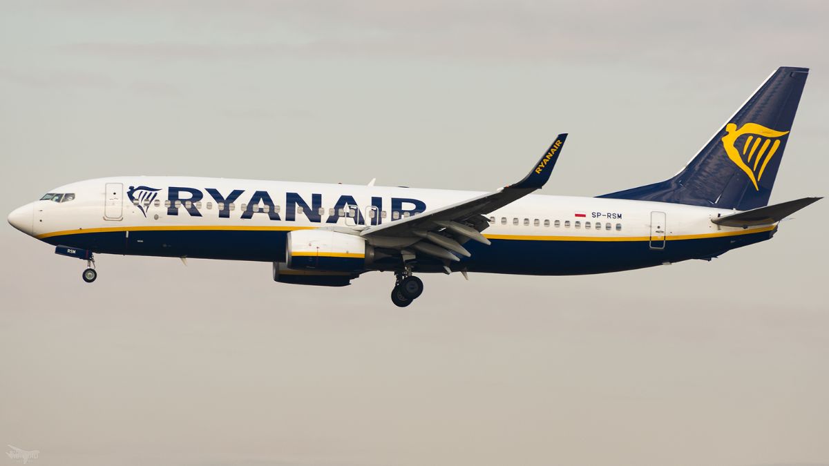 Brawl Breaks Out On A Ryanair Flight Over Window Seat; Passengers Throw Punches At Each Other