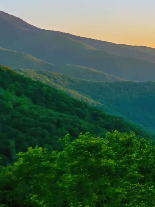 Mountain