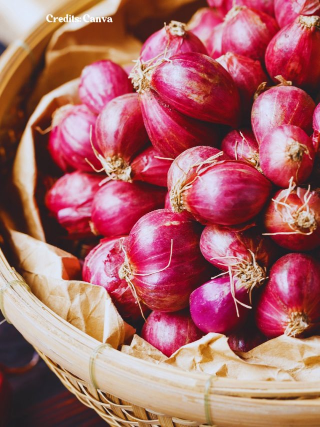 8 Ways To Use Onions Other Than Cooking