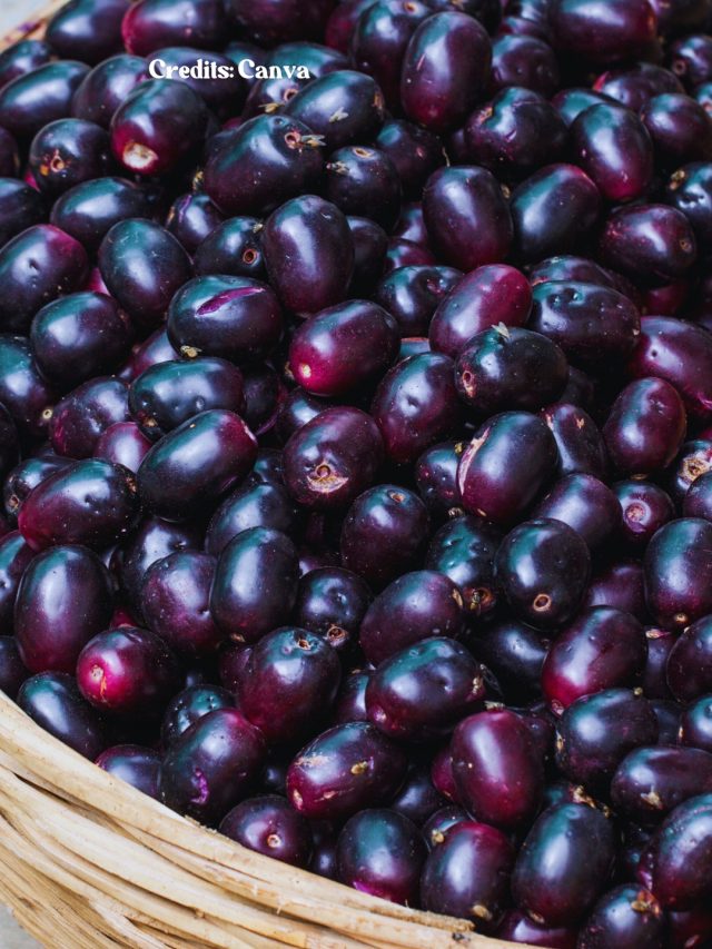 8 Wild Berries That Are Native To India