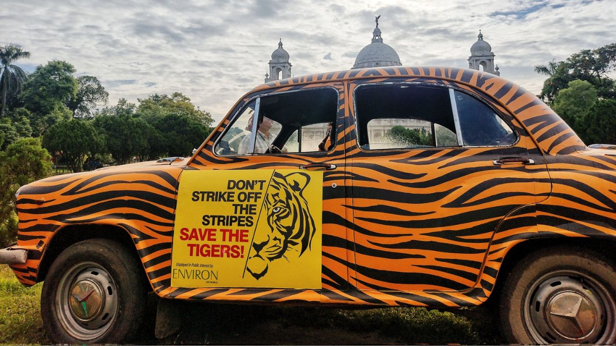 CT Quickies: From Tiger-Themed Taxi To Bharat Gaurav Kashi Yatra, Here Are 11 News Updates!