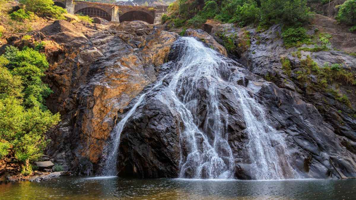Goa’s Forest Department Bans People’s Entry To Wildlife Sanctuary Waterfalls After Drowning Cases