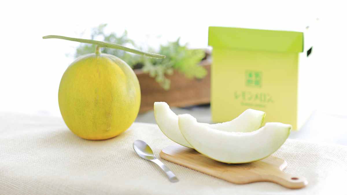 Looks Like Melon, Tastes Like Lemon! Japanese Farmers Grow Lemon Melon Costing ₹1899 Per Piece
