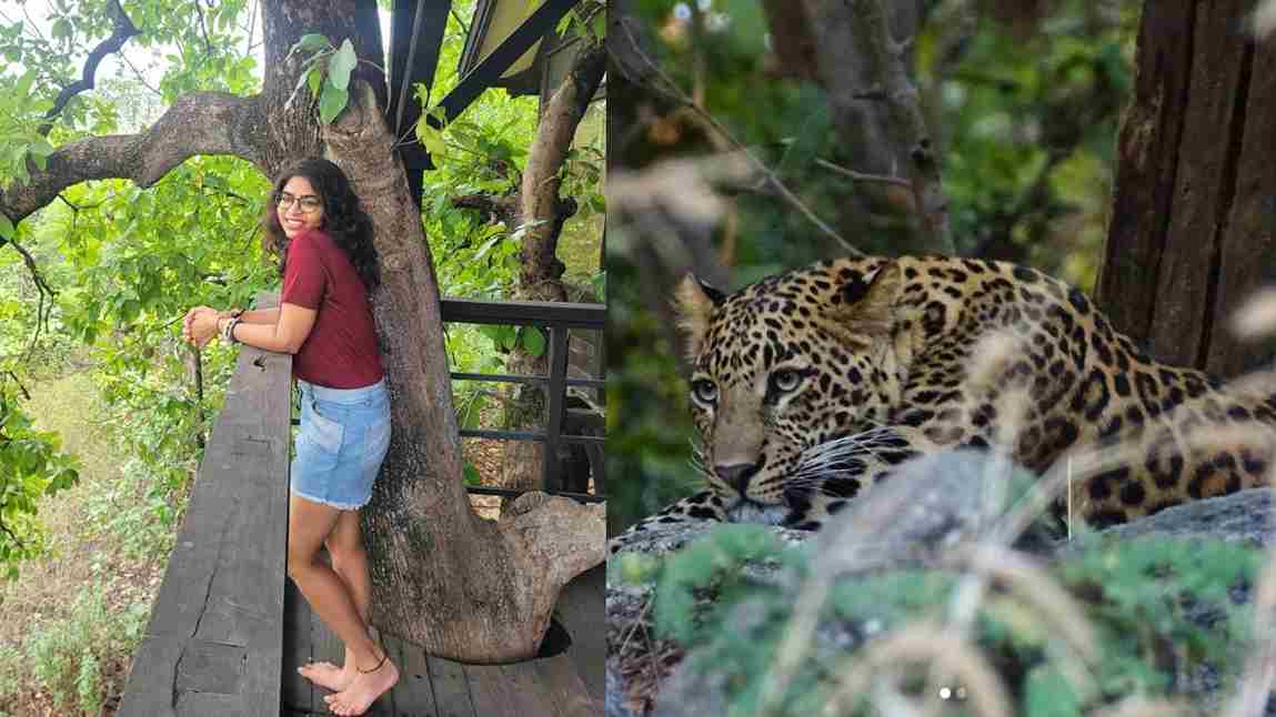 I Sighted Leopards & Stayed In A Luxury Cottage At Pench Tree Lodge In MP & It Was…