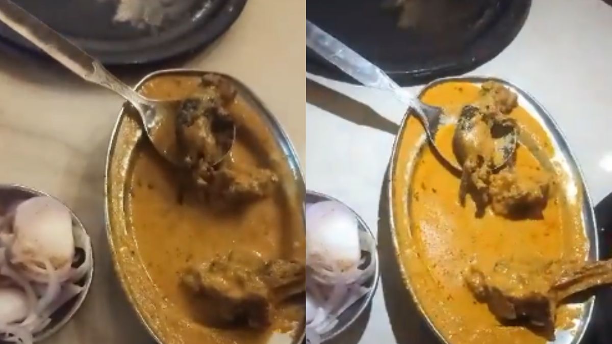 rat ludhiana restaurant