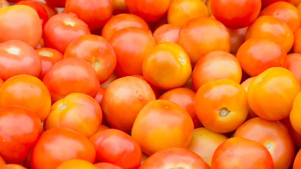 Tomatoes Are Being Sold At Subsidised Rates In North India; Starting ₹80 Per Kg In Delhi-NCR