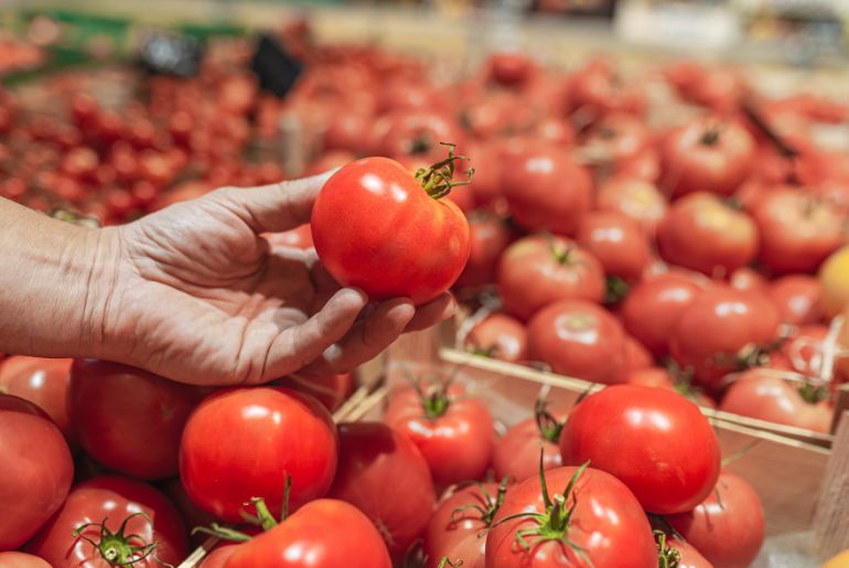 tomato prices india