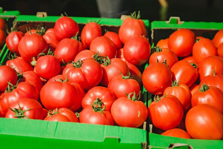 To Tackle Rising Tomato Prices, The Centre Is Planning To Get Tomatoes From  These States!