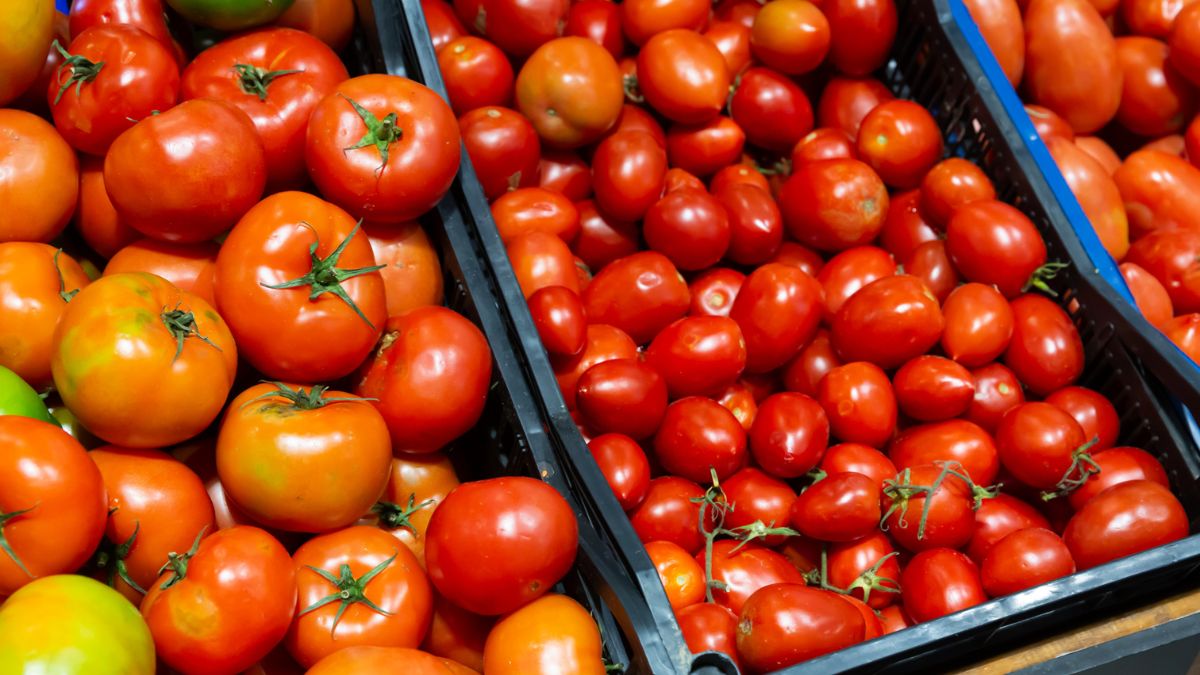 To Tackle Rising Tomato Prices, The Centre Is Planning To Get Tomatoes From These States!