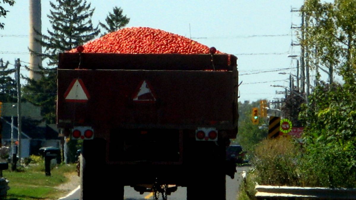 tomatoes truck missing