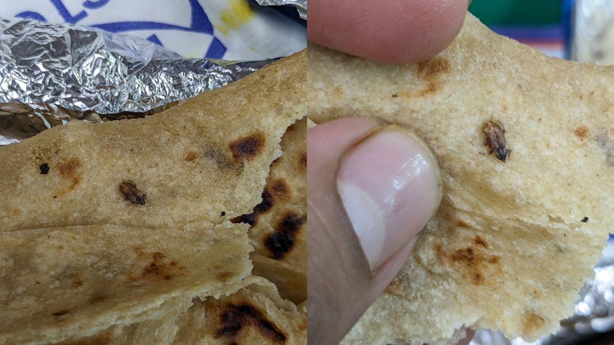 Passenger Found Cockroach Stuck In The Roti Served On Vande Bharat! Netizens Are Disgusted!