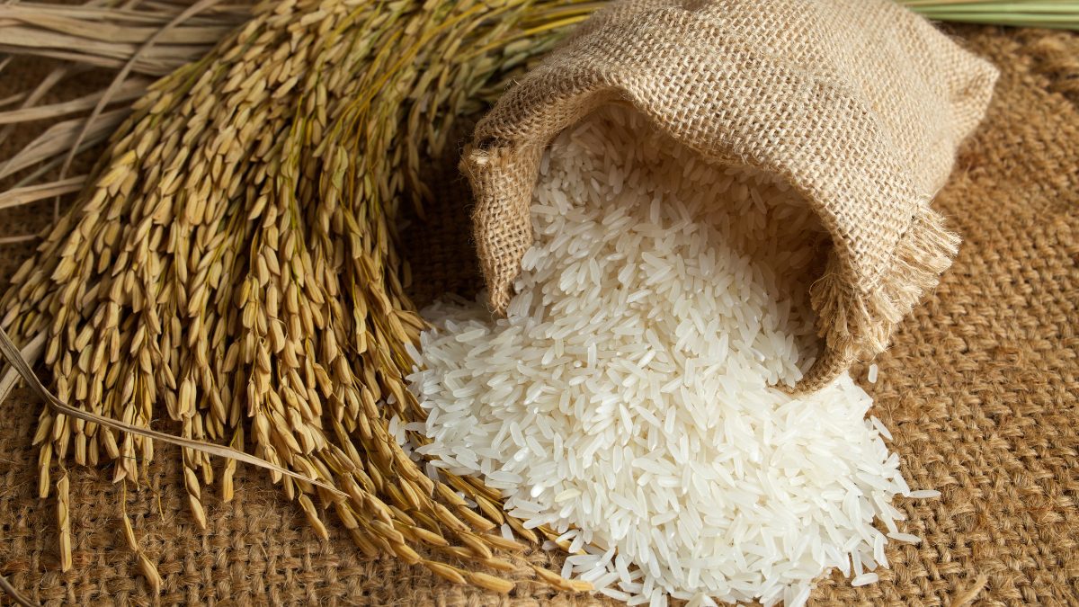 Why Nepal Wants To Stock Up On Rice & Sugar From India Ahead Of Upcoming Festive Season?