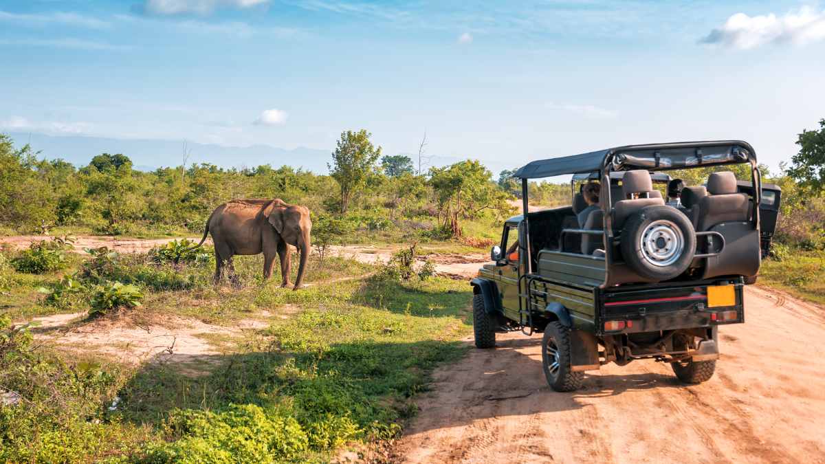 Cauvery Wildlife Sanctuary Is Karnataka’s New Safari Destination. Here’s What’s In Store