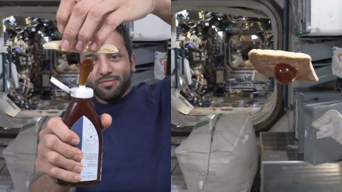 Sultan AlNeyadi Shows How He Squeezes Honey Onto Bread In Space In This Viral Video