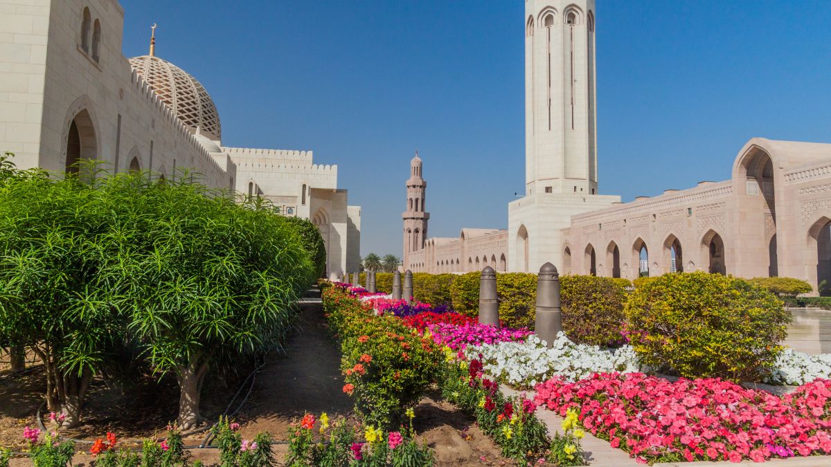 Beauty Of Muscat To Increase Tenfold As Local Trees To Be Planted In Public Places And Parks