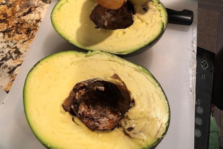 world's heaviest avacado, guiness world record, book of records, heaviest fruit right now, is avacado good for cholesterol?