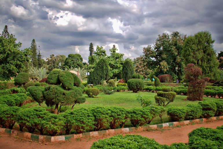 botanical garden, flower show, bengaluru, western ghats, plants,