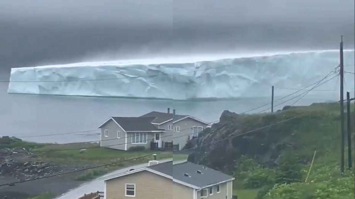 After A Phallus-Shaped Iceberg, Another Colossal Iceberg Passes Through Newfoundland