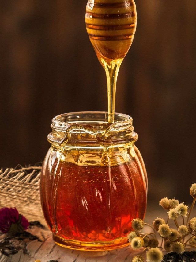 Elvish Honey 1_11zon