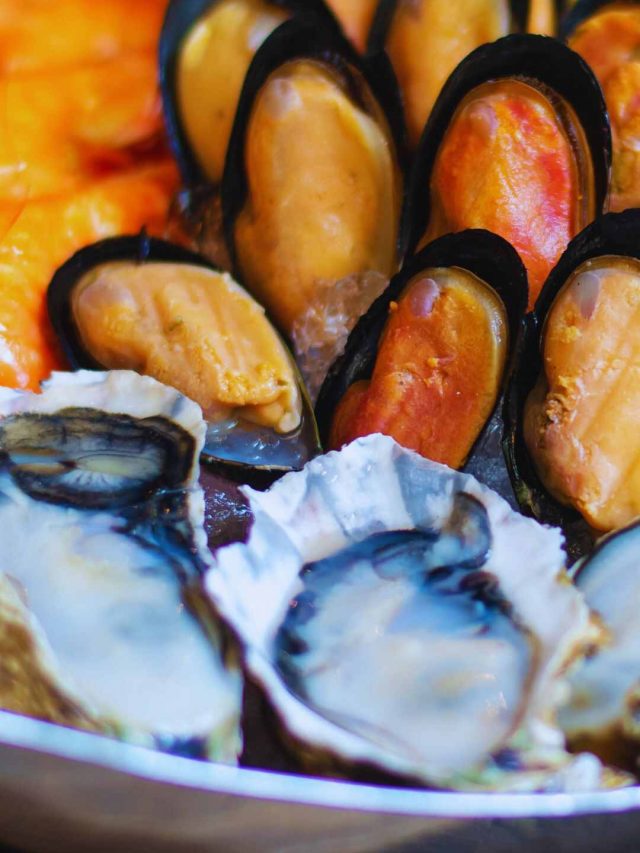 Oyster Recipes