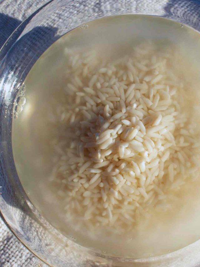 7 Ways To Add Rice To Your Haircare & Skincare