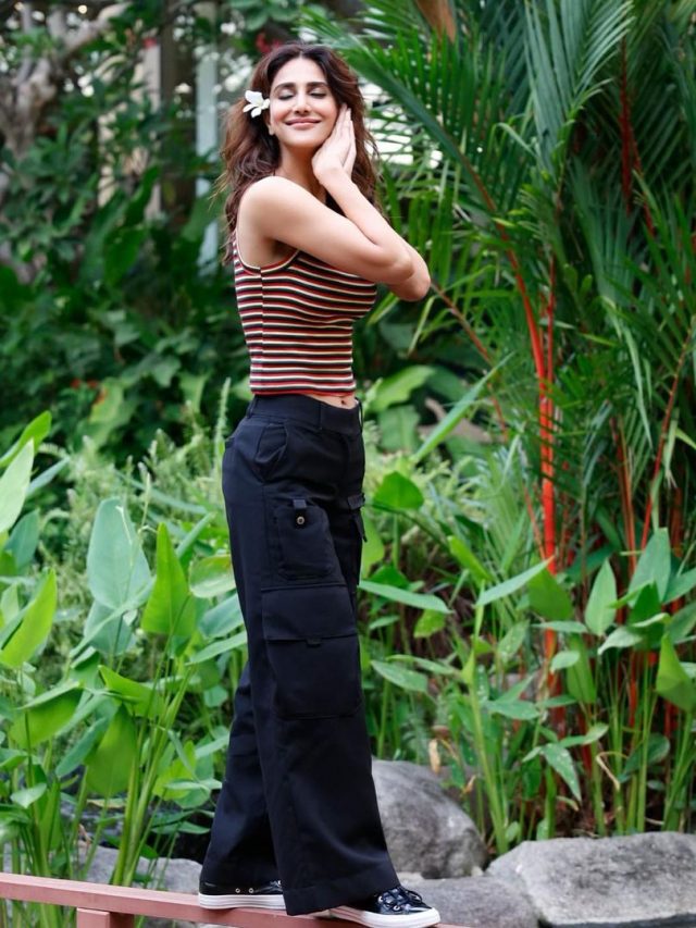 Vaani