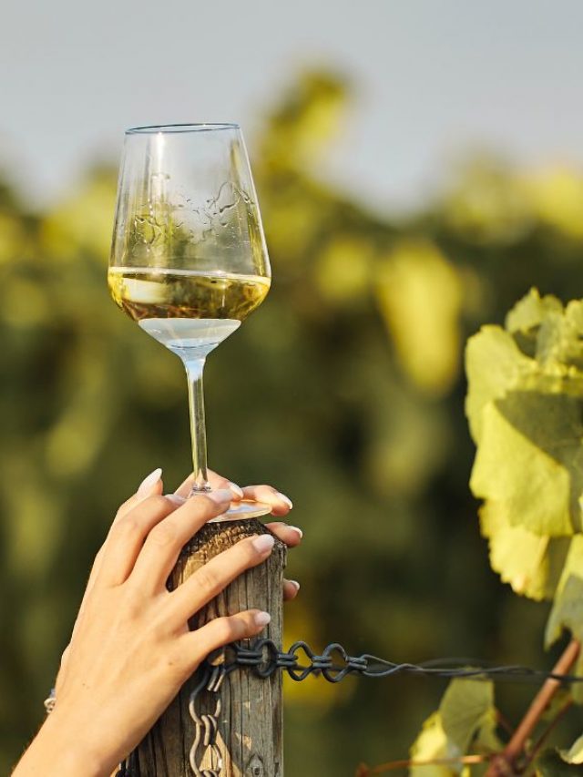 Other Than White & Red Wines, Know These 5 Other Variations Of Wine