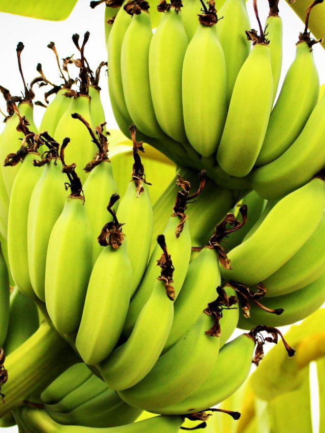 banana (3)
