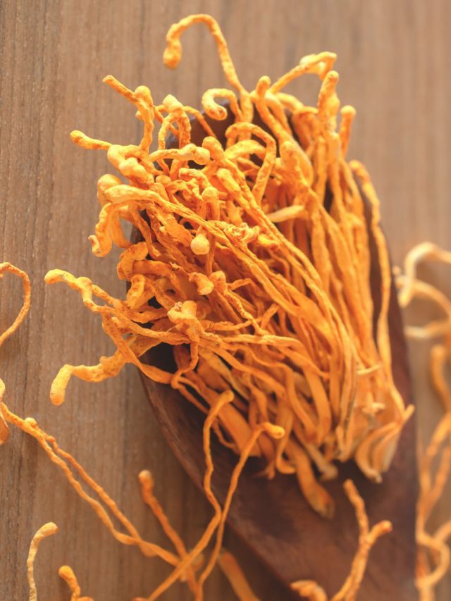 What Are Cordyceps & Why Should You Add Them To Your Diet?