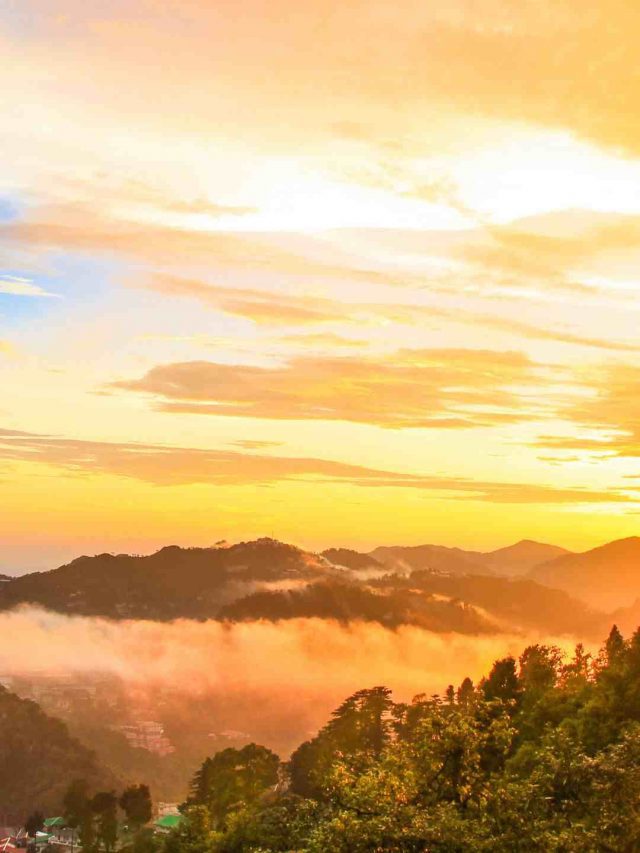 dehradun_11zon