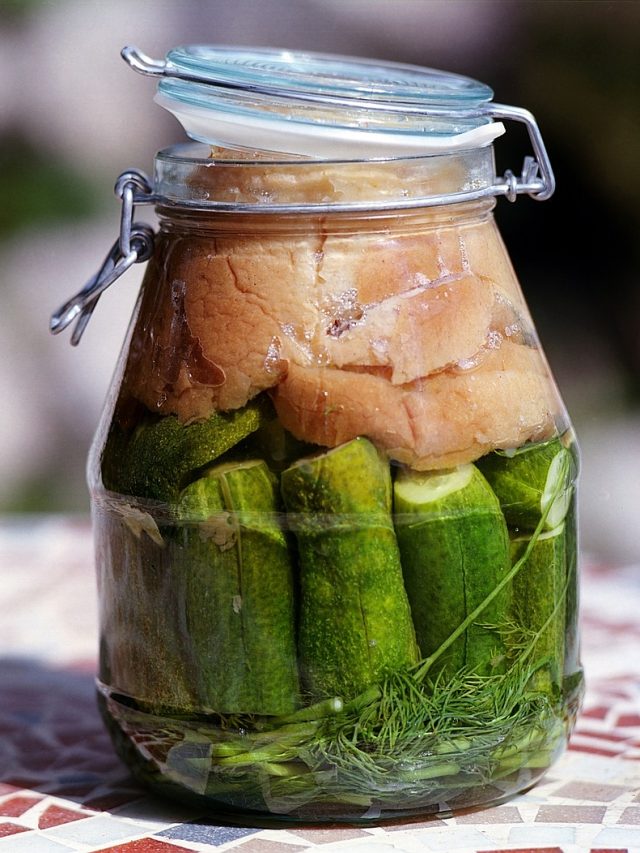 fermentation vs pickling