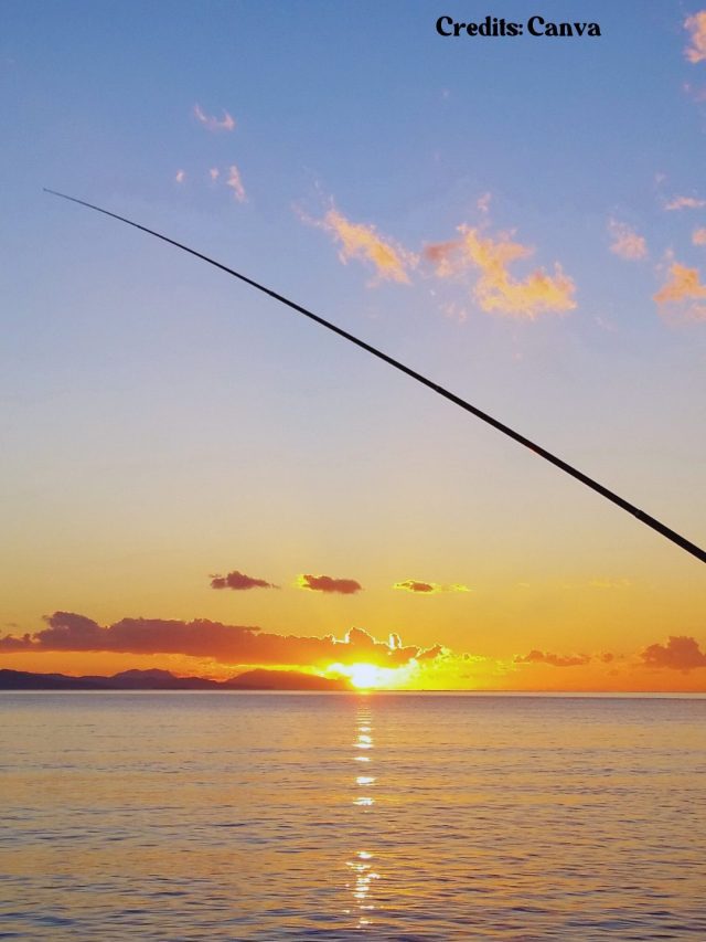 Love Fishing? Visit These 8 Best Fishing Spots In The World